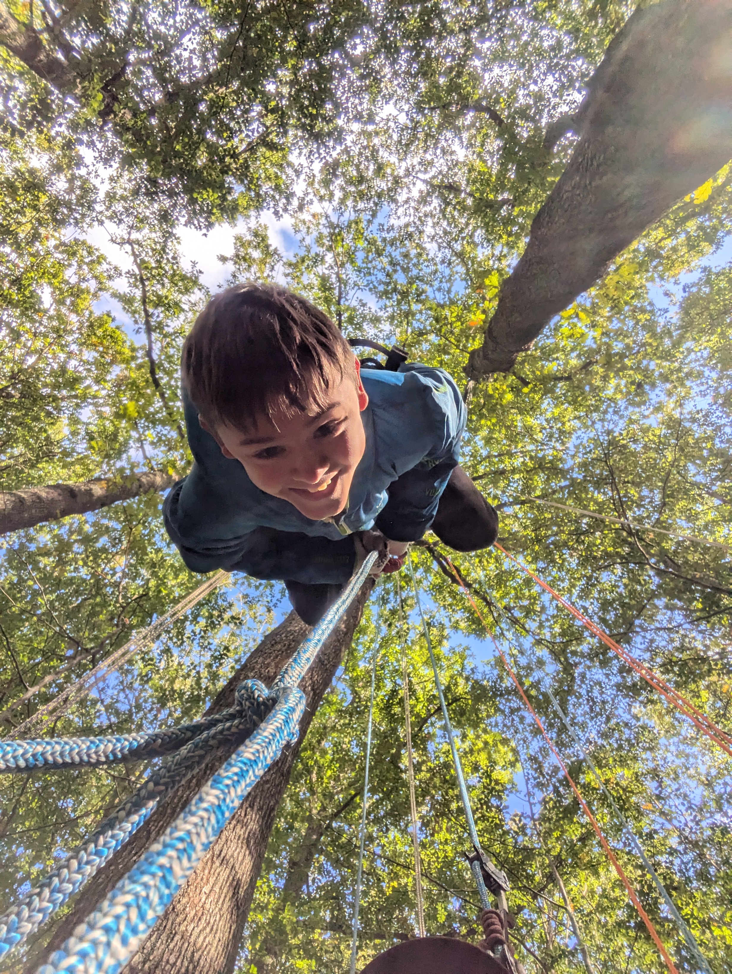 Les Forêts des Monts du Lyonnais : Histoire, Évolution et Activité de Grimpe d'Arbre