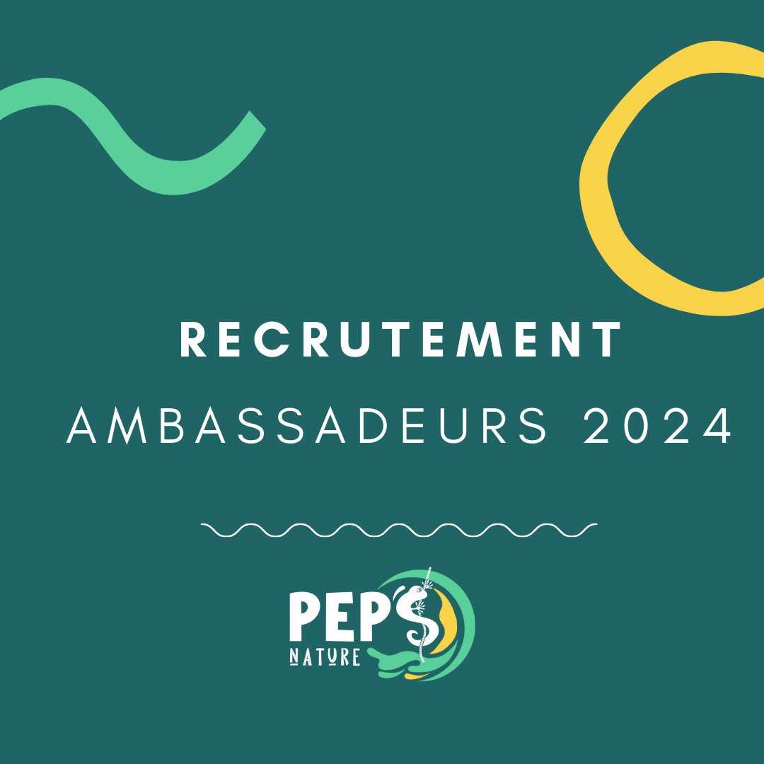 Recrutement ambassadeurs 2024