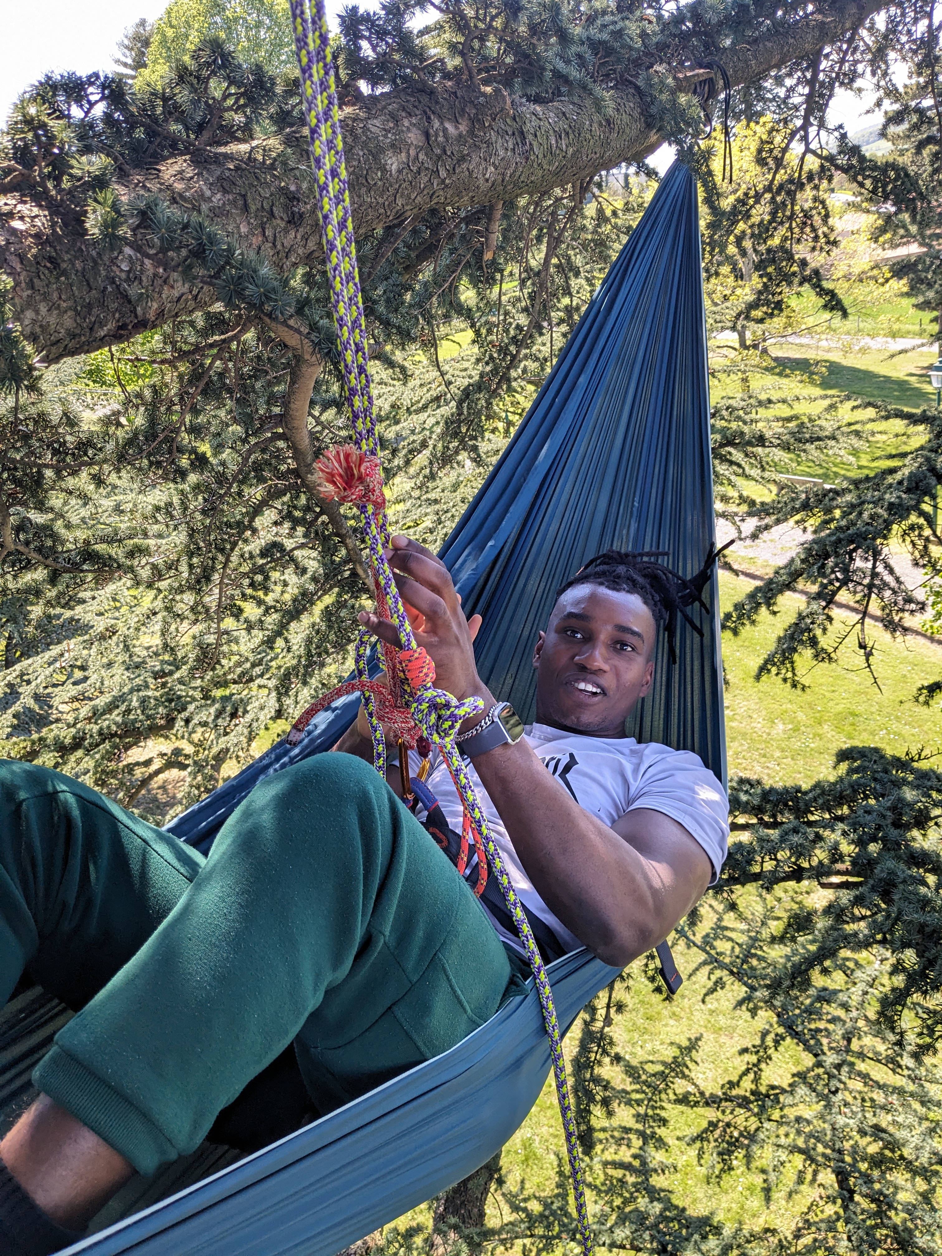 Tous les sites de grimpe d'arbre