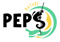 Pep'S Nature